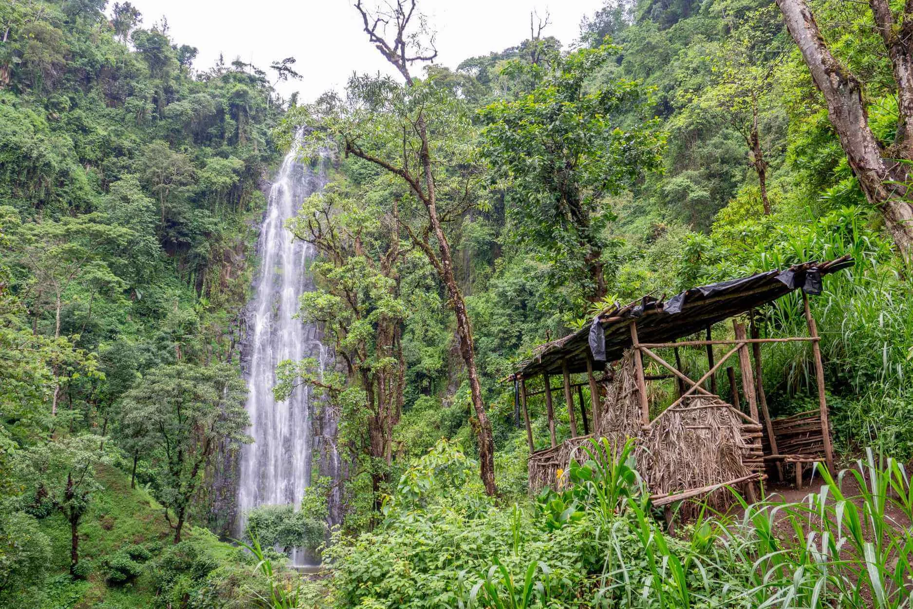 Things to Do in Moshi - Moshi