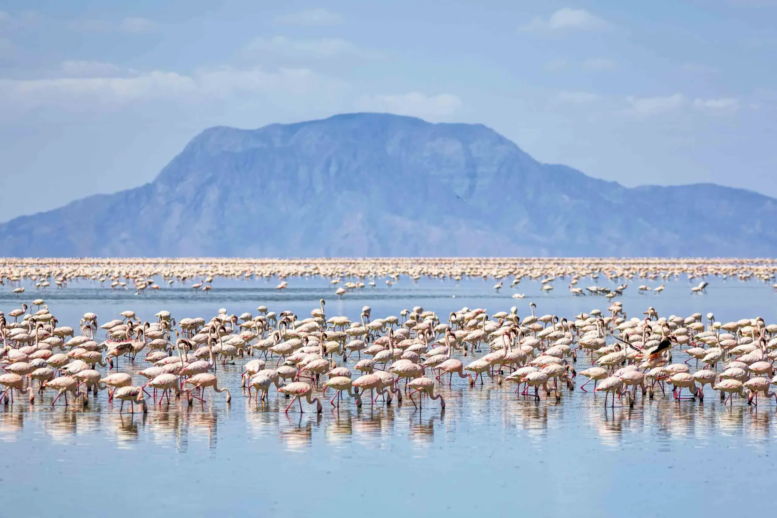 Landscape & Natural Features at Lake Natron - Lake Natron