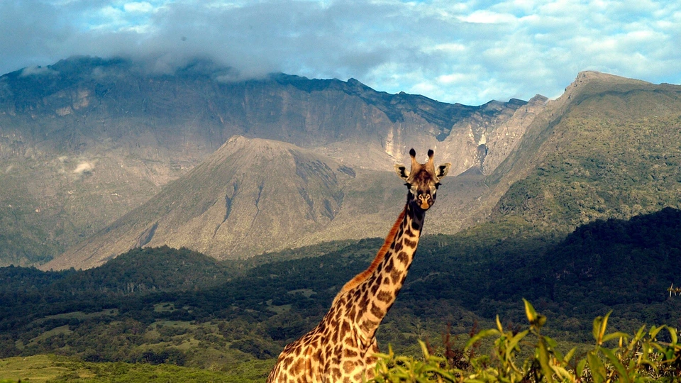 Landscape & Natural Features in Arusha National Park - Arusha National Park