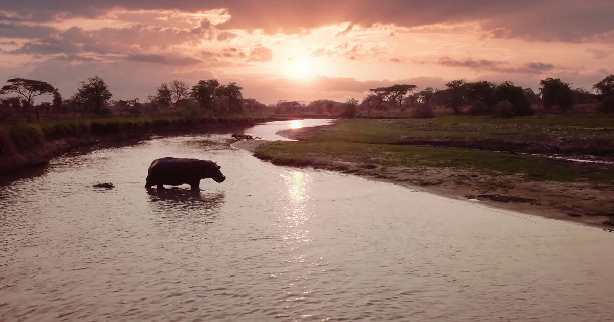Landscape & Natural Features - Katavi National Park