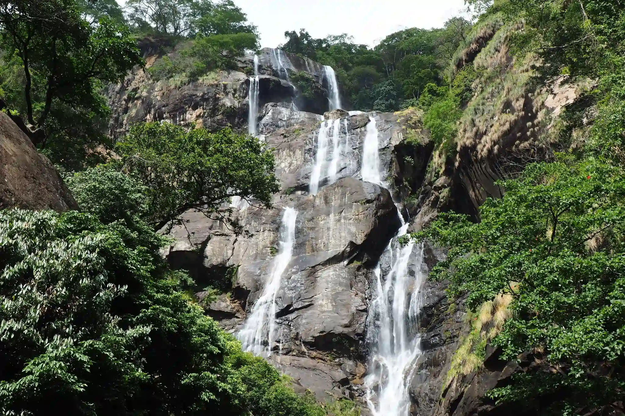 Landscape & Natural Features in Udzungwa Mountains - Udzungwa Mountains National Park
