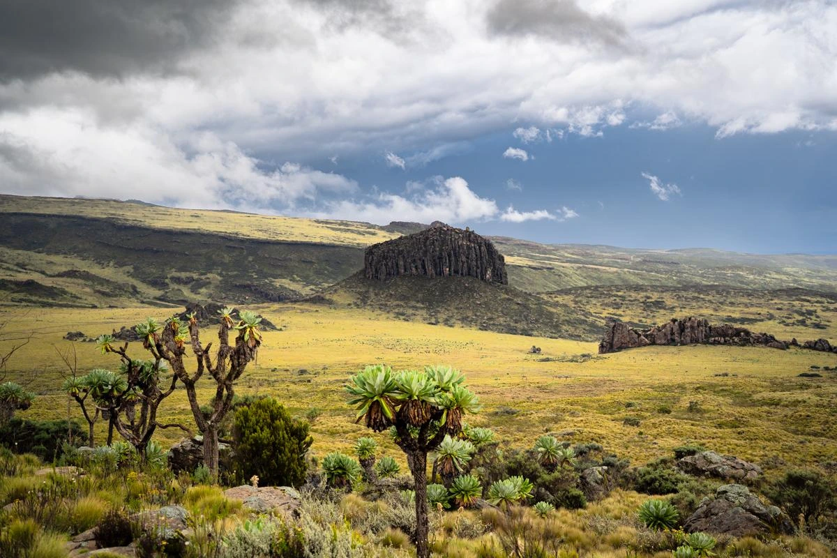 Landscape & Natural Features in Aberdare National Park - Aberdare National Park