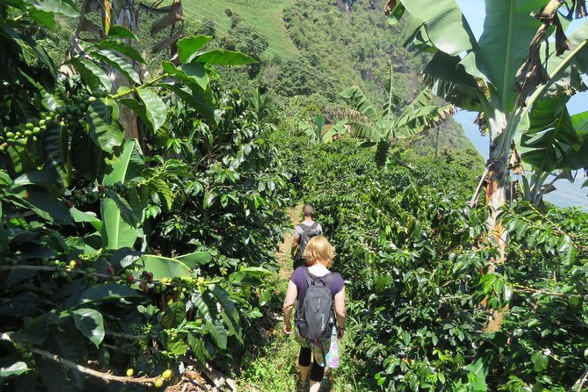 Hiking & Coffee Tour Experience at Materuni Waterfalls - Materuni Waterfalls 