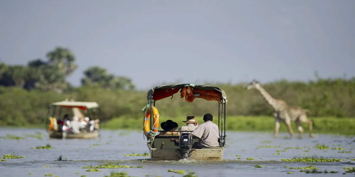 8 Days Ruaha & Nyerere Fly-In Safari | Southern Tanzania Luxury Safari