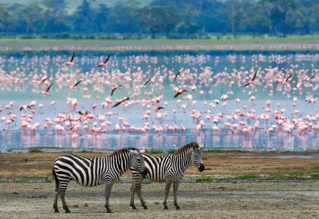 Luxury Kenya Safari & Zanzibar Beach- 10 Days of Wildlife & Relaxation