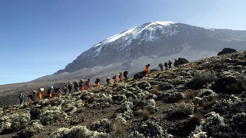 Tanzania Mountain Trekking Safaris – Climb Mount Kilimanjaro