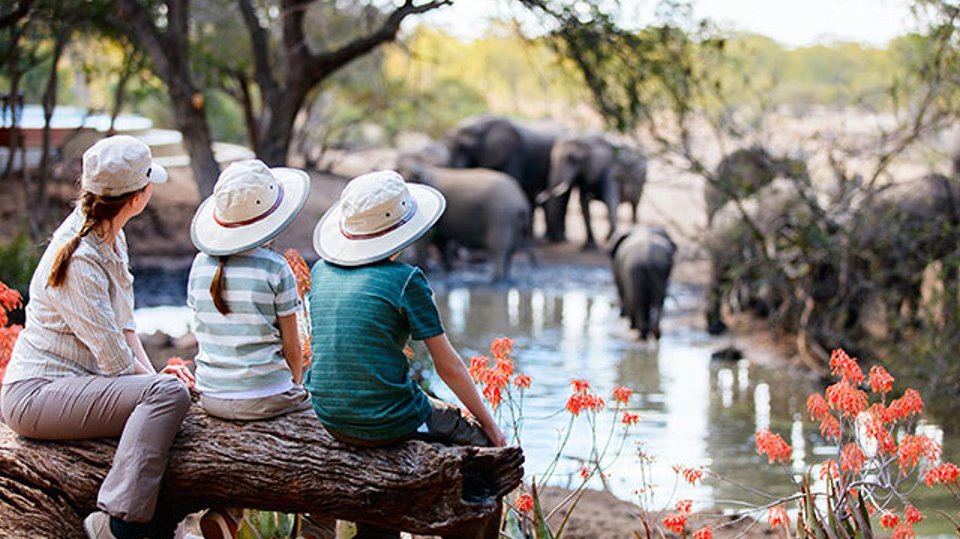 Southern Tanzania Safari: Explore the Heart of Africa