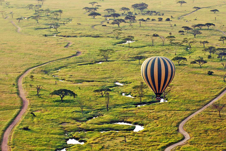 The Serengeti National Park/Hot Air Balloon