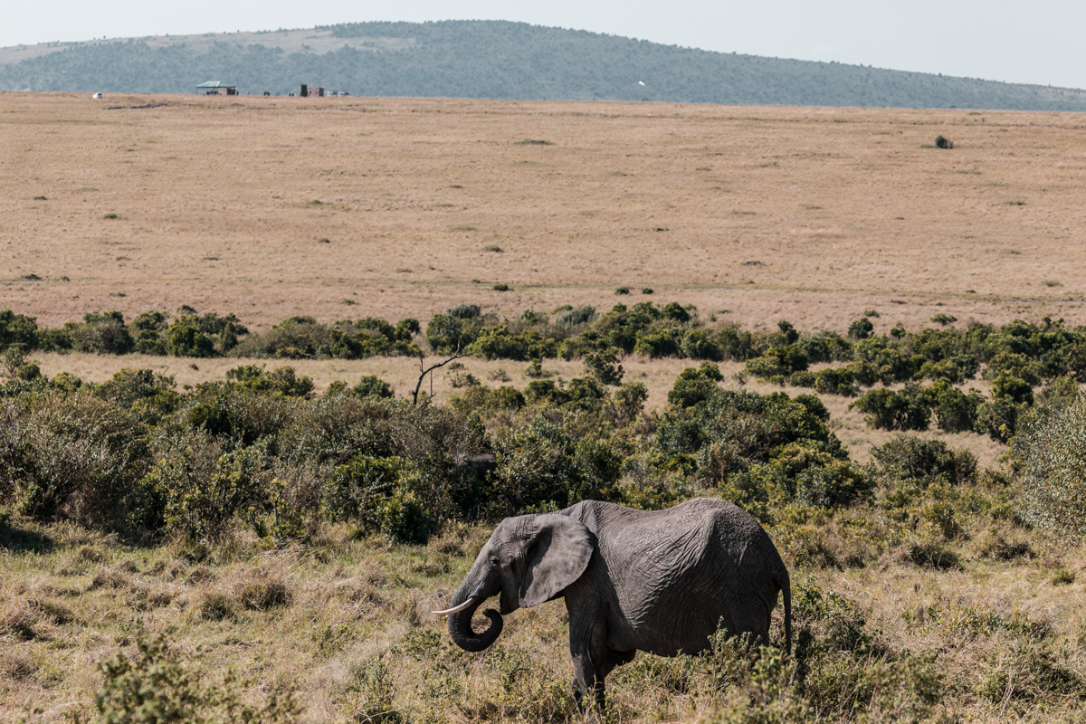Maasai Mara National Reserve
