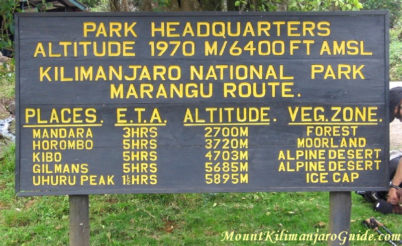 Horombo Hut (3700m) - Marangu Gate (1860m)