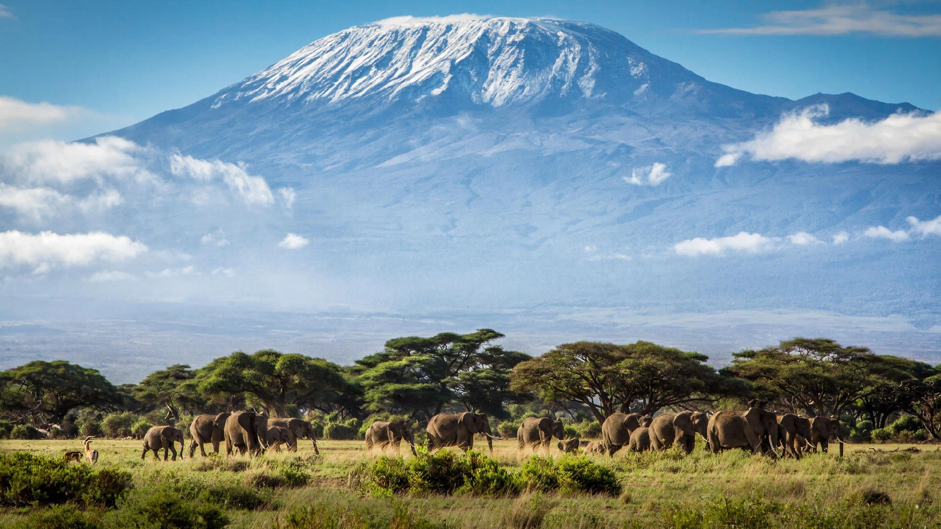 6-Day Marangu Route Kilimanjaro Trek