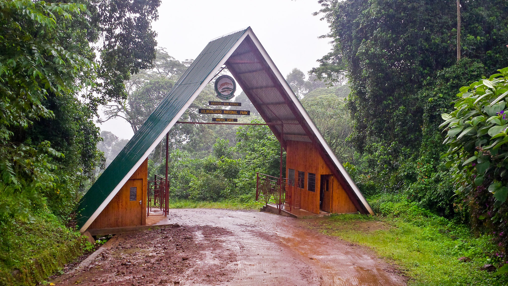 Descent from Millennium Camp to Mweka Gate 
