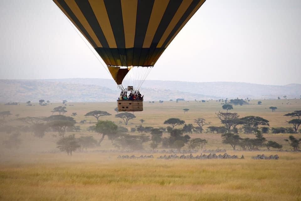 The Serengeti National Park/Hot Air Balloon