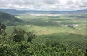 Serengeti to Ngorongoro Conservation Area