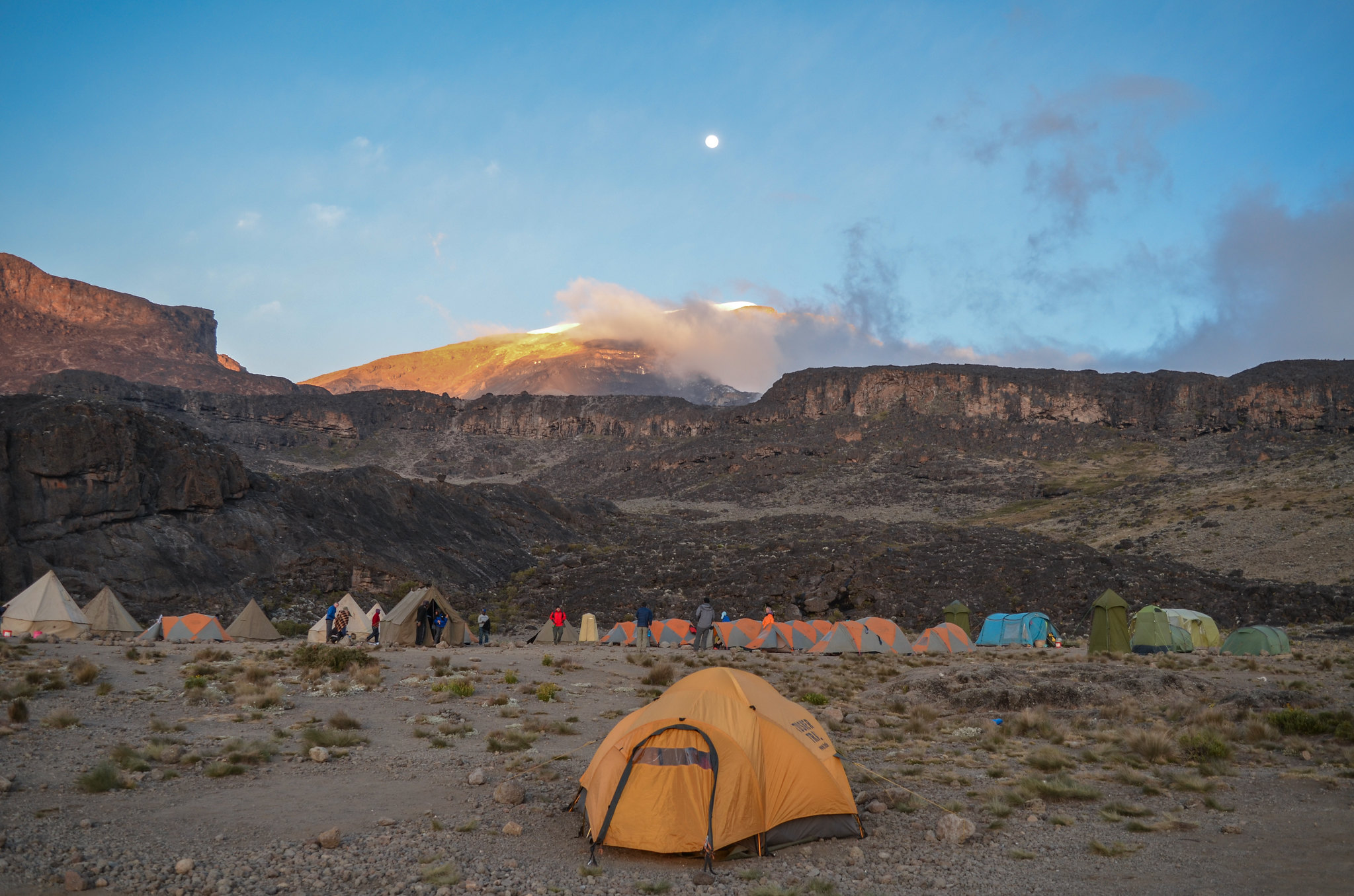 Shira 2 Camp to Lava Tower to Moir Hut – Acclimatization Day