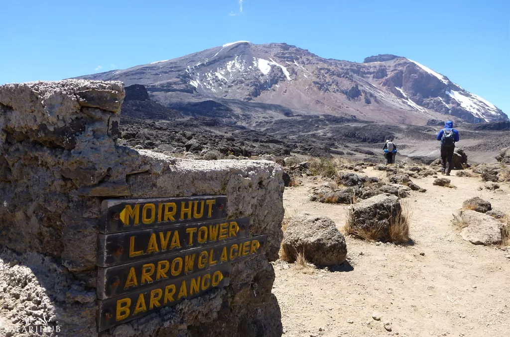 Shira 2 Camp to Lava Tower to Moir Hut – Acclimatization Day