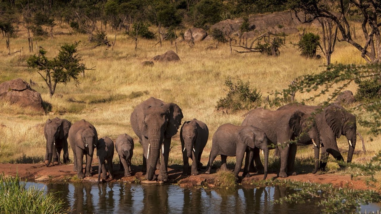 8-Day Tanzania Wildlife Safari and Cultural Tour