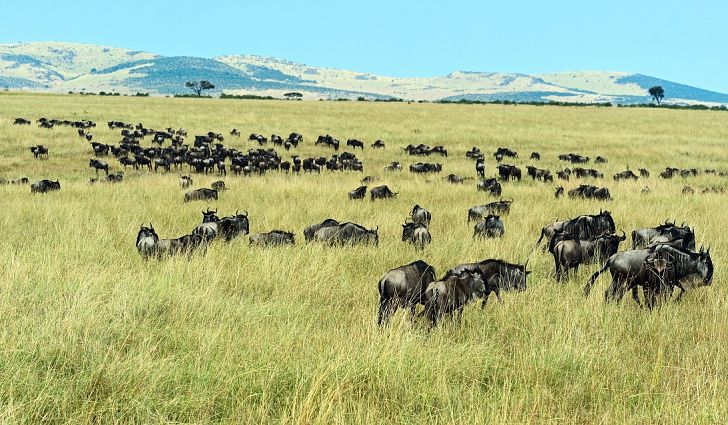 Karatu to Serengeti National Park