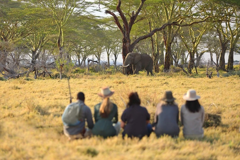 11 Days Luxury Tanzania Family Tour