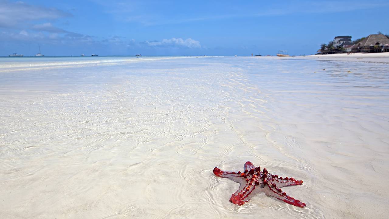 7 Days Luxury Zanzibar Beach Holiday 