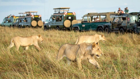Ultimate Kenya Big Five Safari