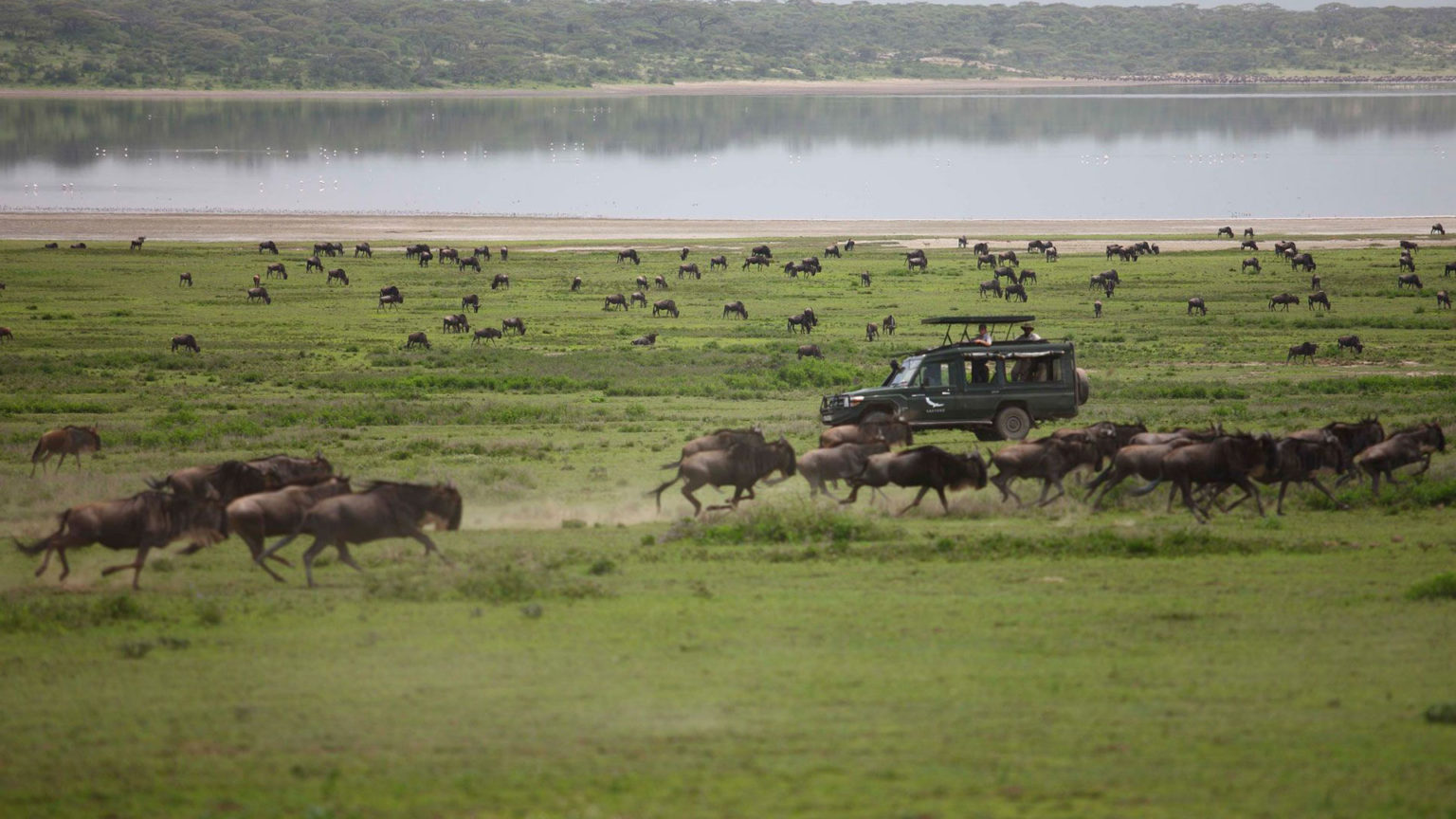 Lake Manyara - Serengeti National Park