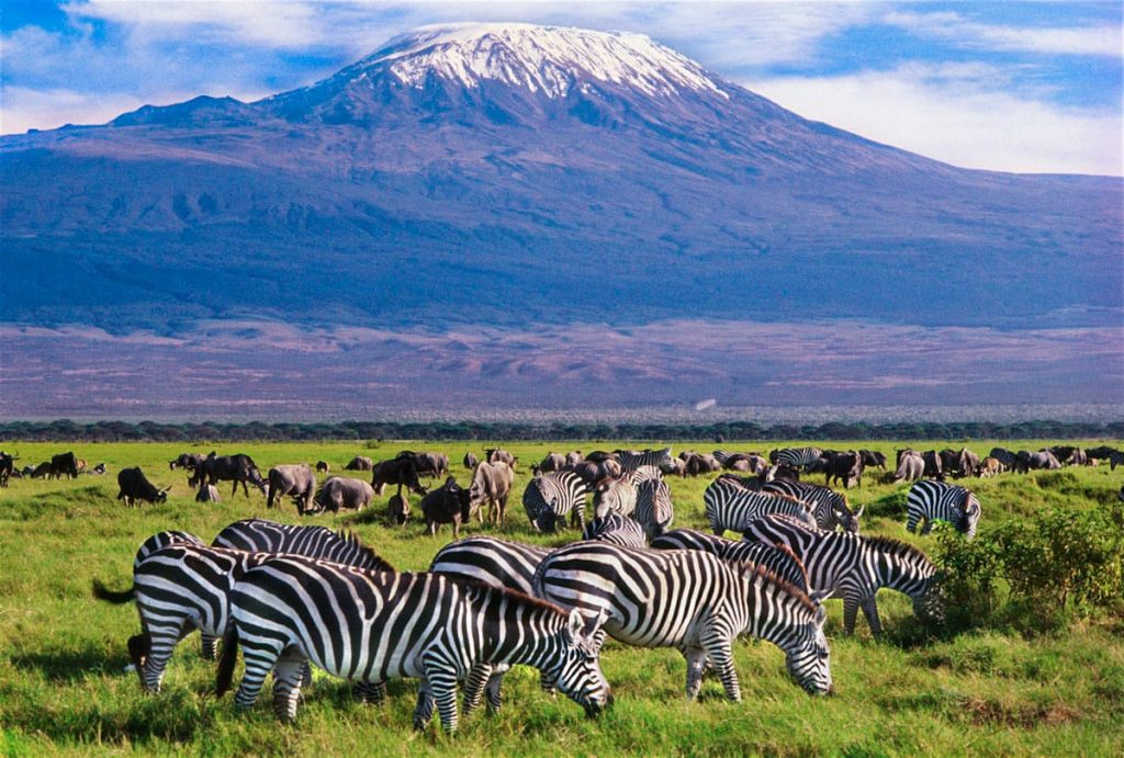 Nairobi – Amboseli National Park