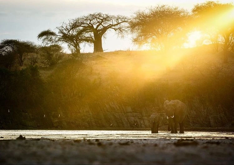 6-Days Tanzania Luxury Tour