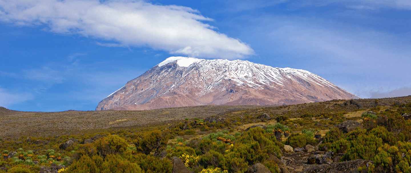 Mt. Kilimanjaro mid-range and luxury Safaris 