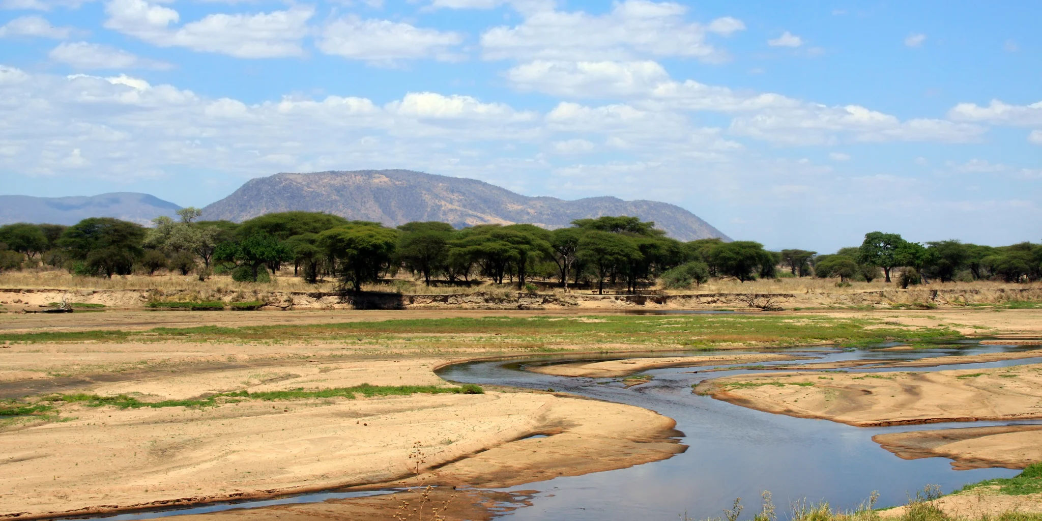 Full Day Safari in Ruaha National Park