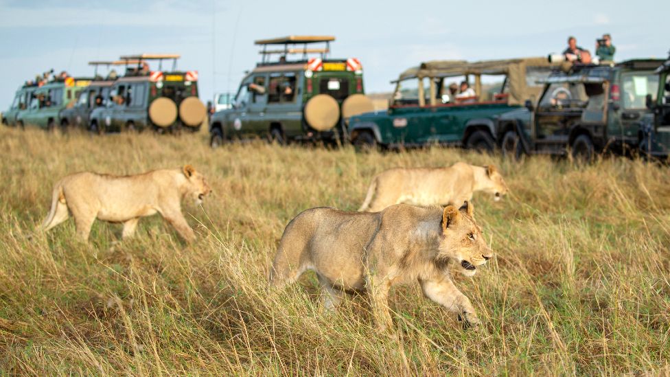 Ultimate Kenya Big Five Safari