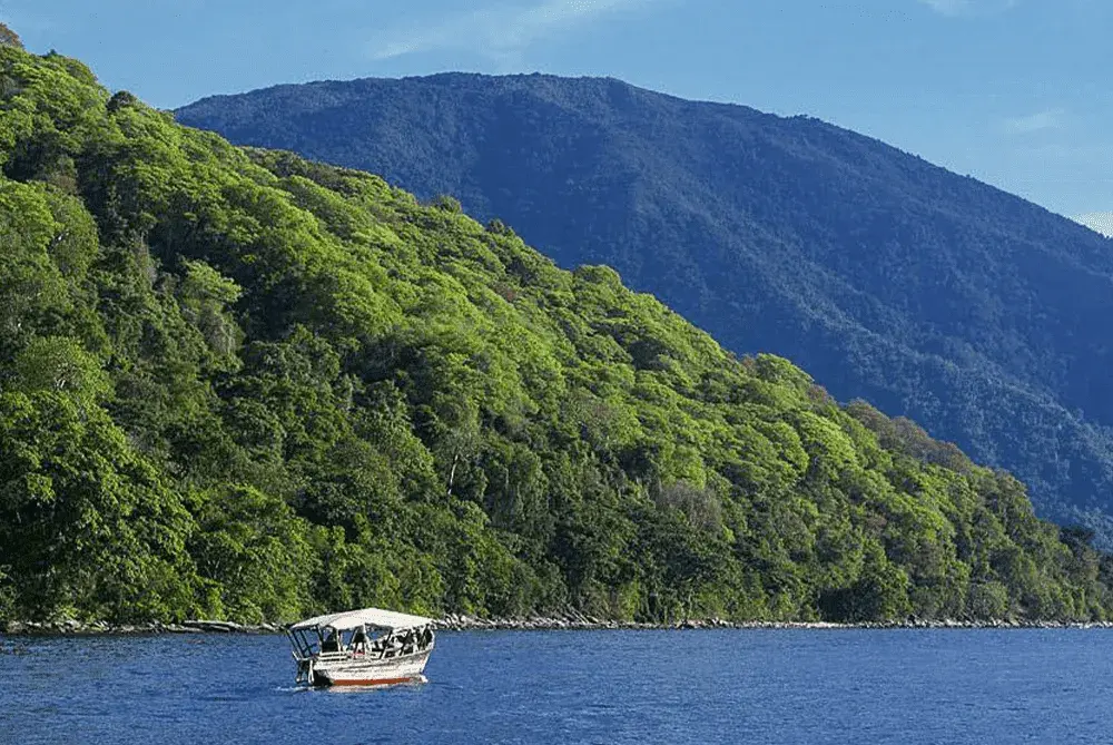 8-Day Gombe & Mahale Safari | Tanzania Chimpanzee Trekking Tour