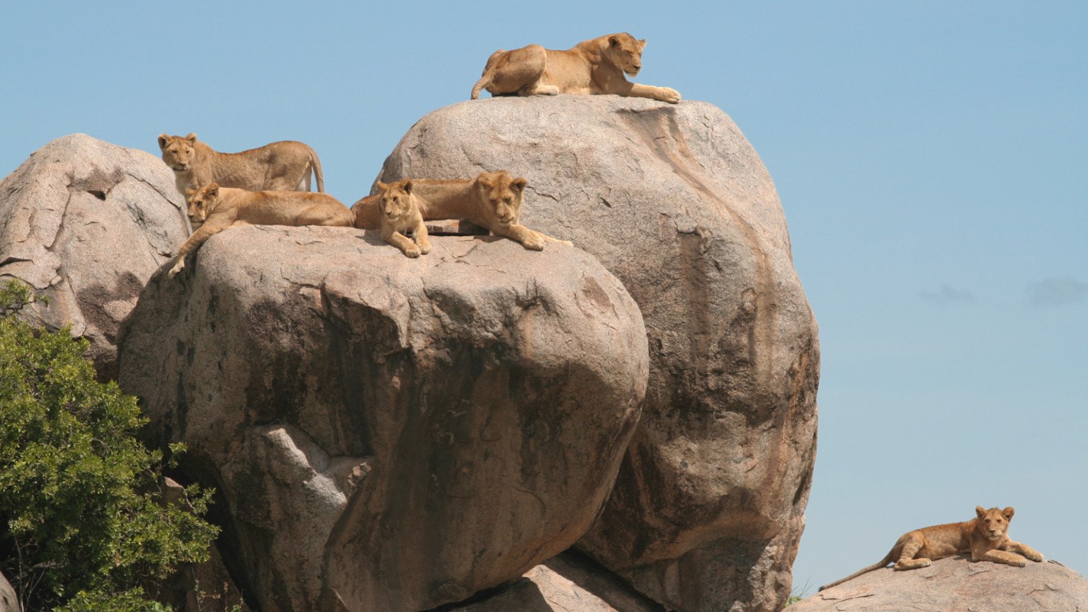 Fly to the Southern Serengeti & Exclusive Safari at Mwiba Lodge