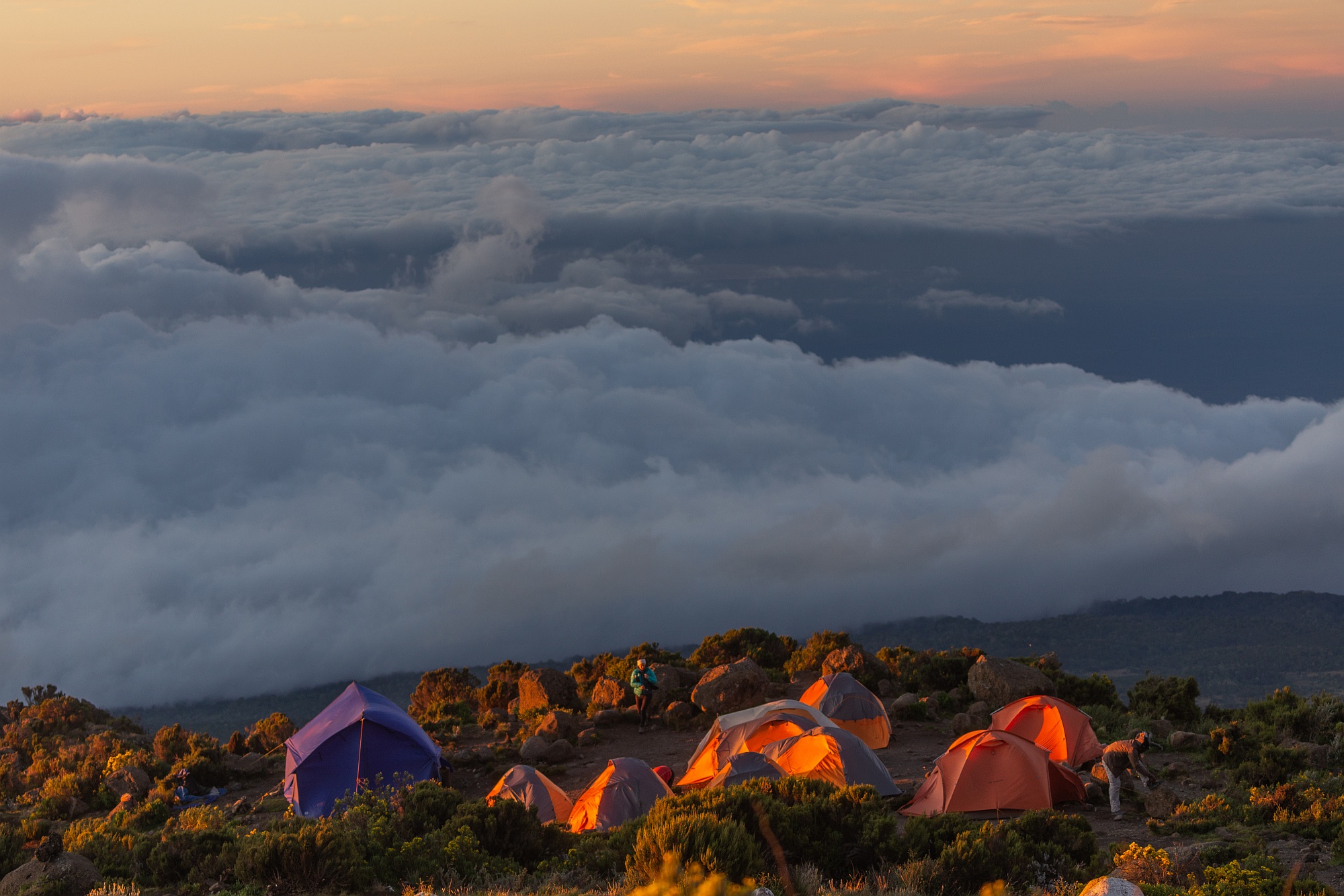 Hiking From Machame Camp To Shira Camp on this Kilimanjaro hiking tour