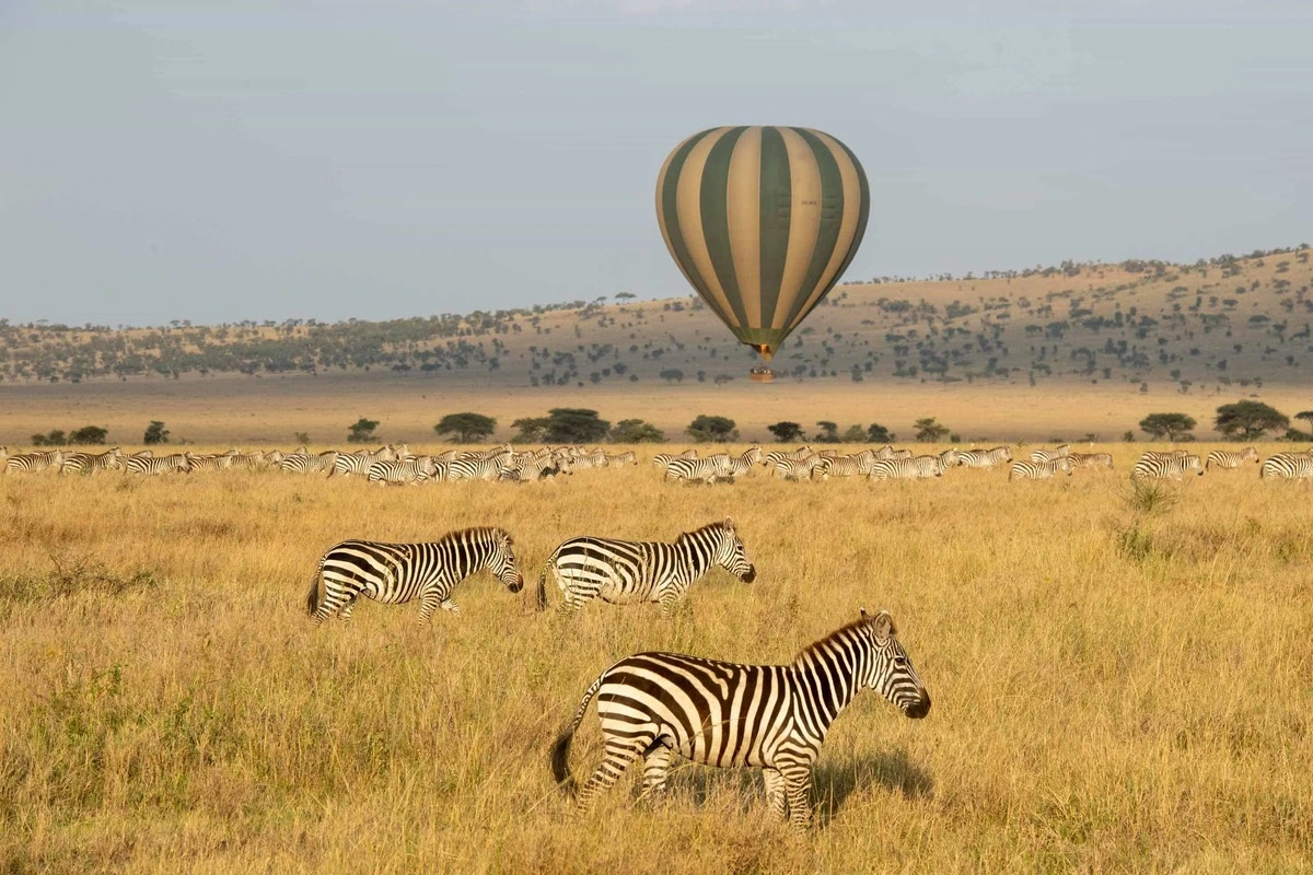  10 Days Tanzania Safari and Zanzibar tour