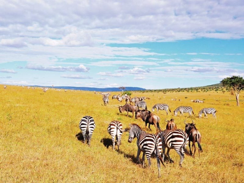 Lake Naivasha – Maasai Mara National Reserve