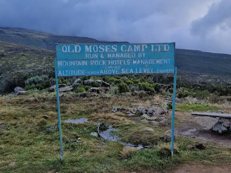 Old Moses Camp