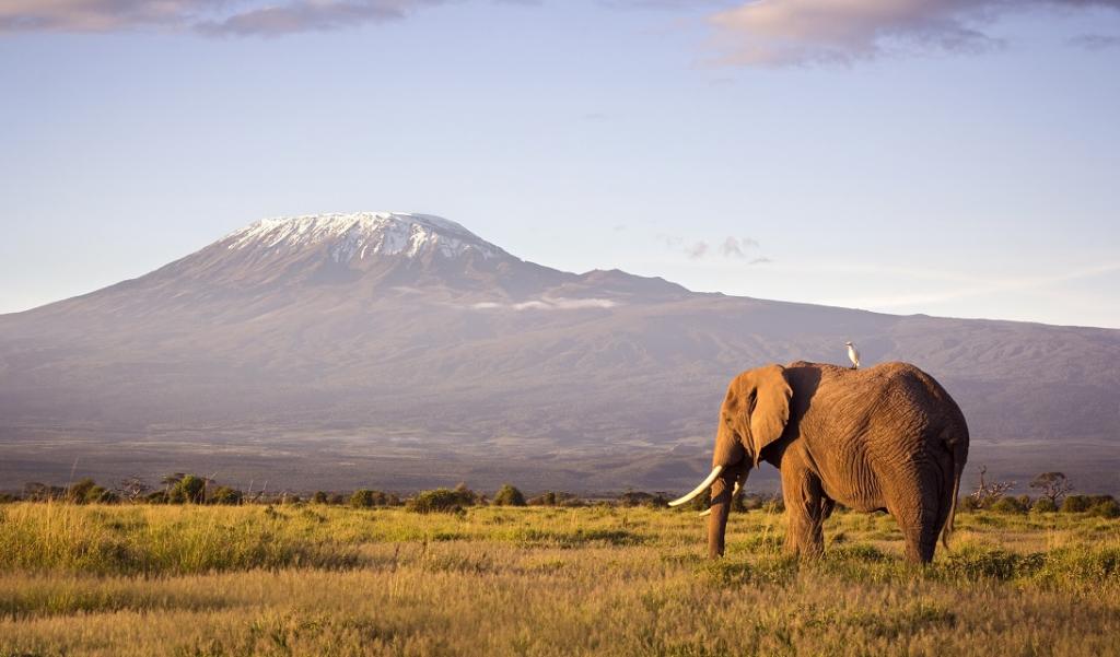  8 Days Kenya Wildlife Safari