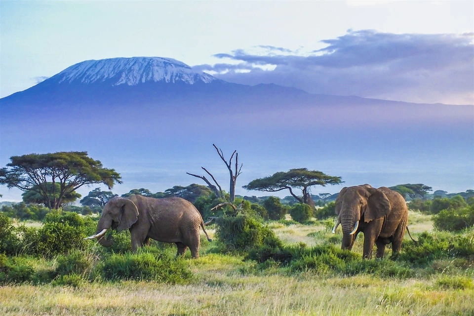 8-Day Kenya Safari: Beach and Mountain Adventure