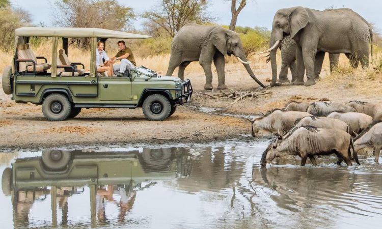 Exclusive Walking Safari in Lake Manyara National Park