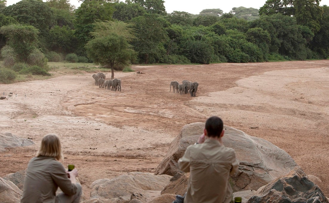 Exclusive Walking Safari in Lake Manyara National Park