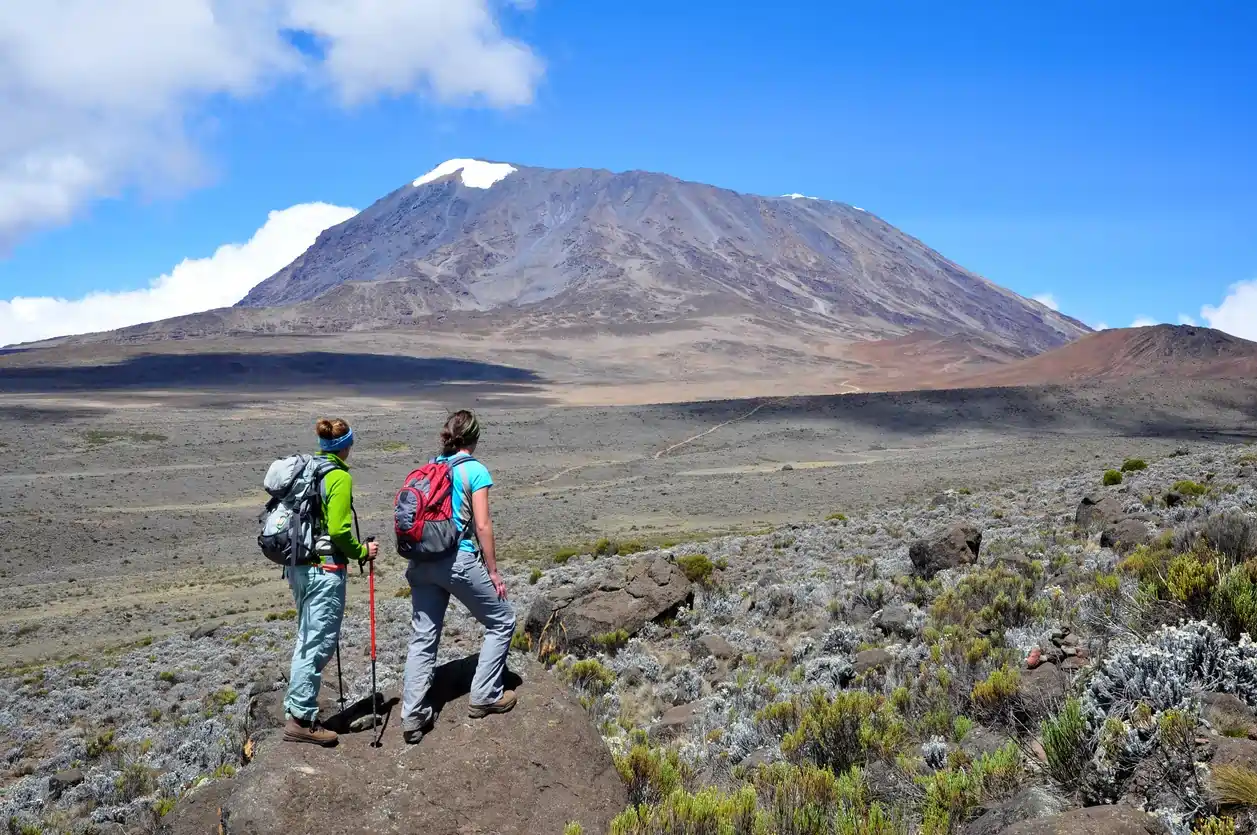 Kilimanjaro Routes Guide: Compare Machame, Lemosho, Marangu & More
