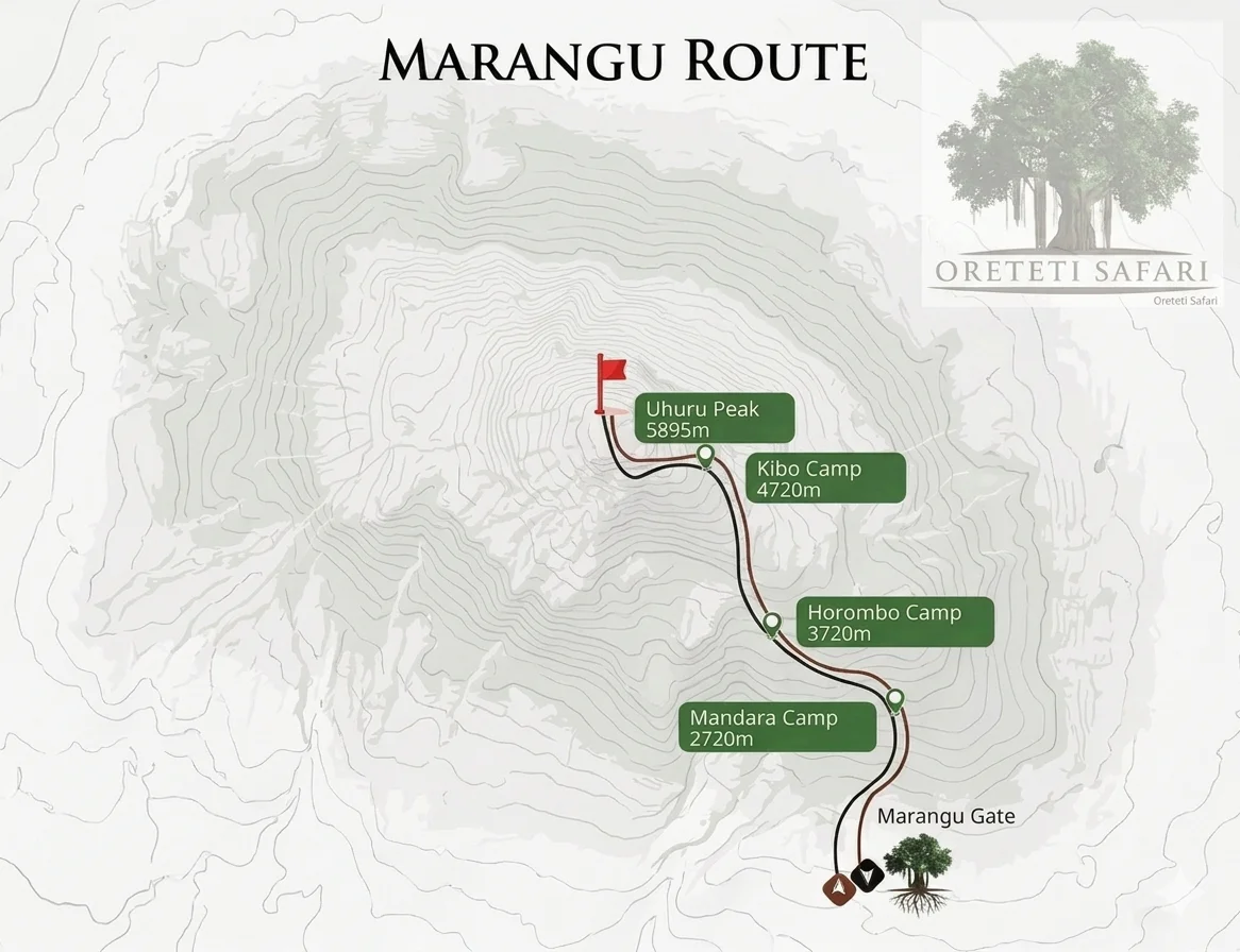 Marangu Route (The Classic Kilimanjaro Route)